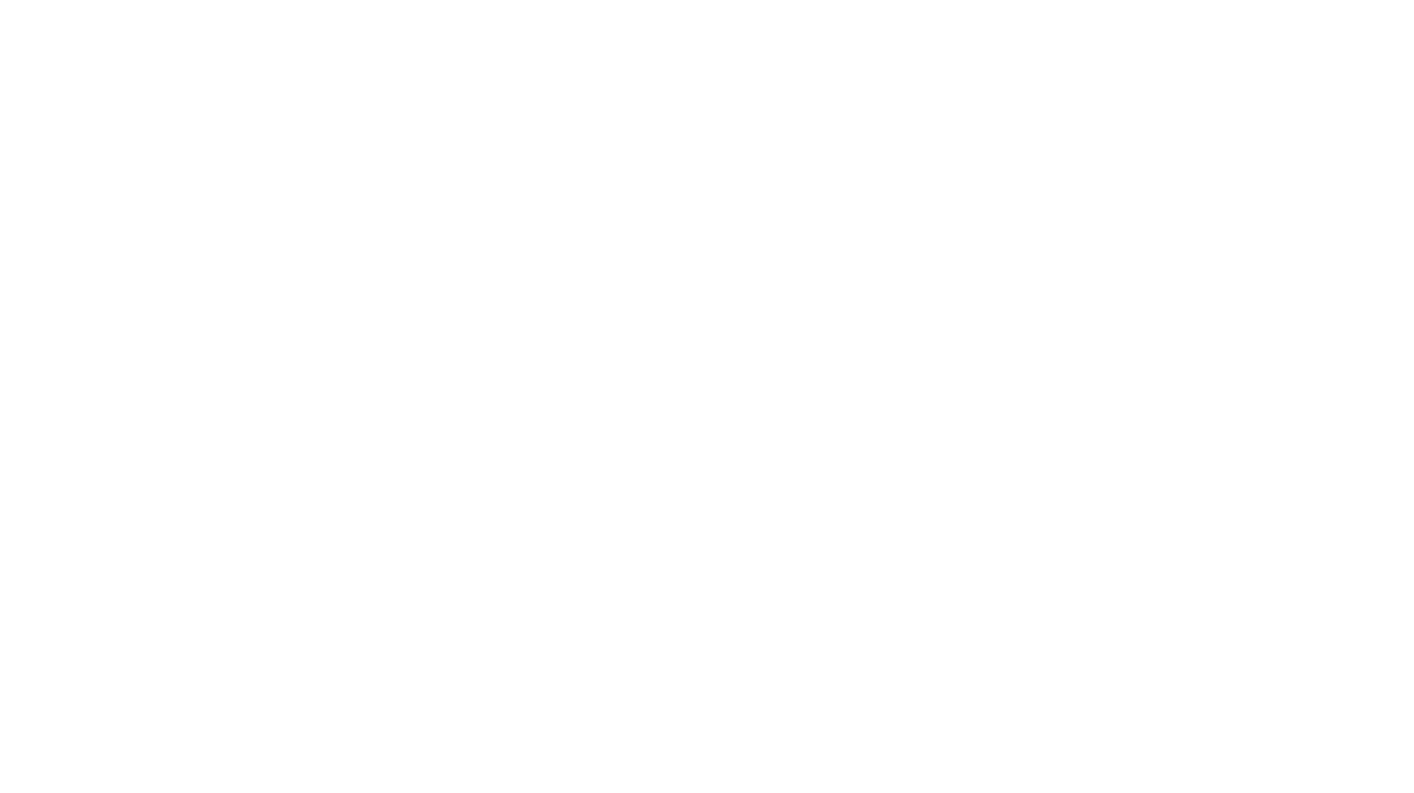 logo runa